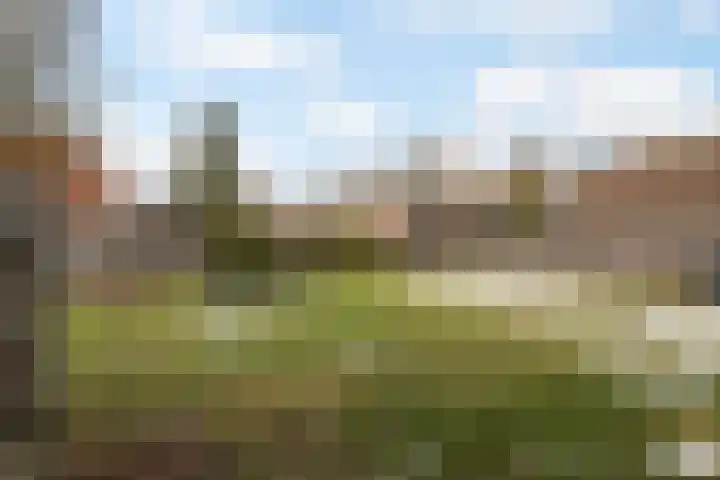 De Bongerd 60 Schoonebeek thumbnail 36