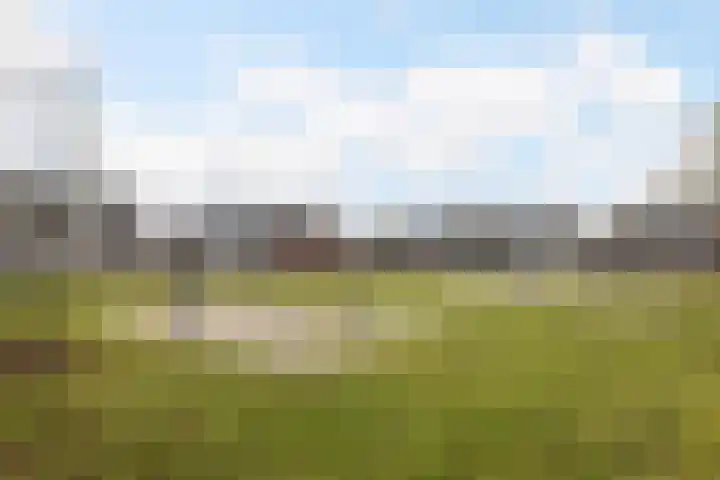 De Bongerd 60 Schoonebeek thumbnail 38