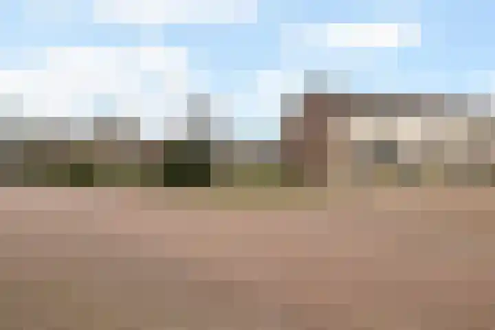 De Bongerd 60 Schoonebeek thumbnail 7