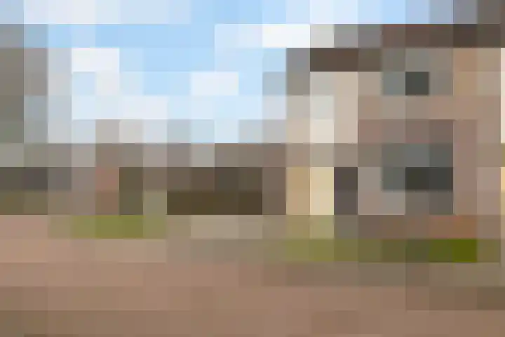 De Bongerd 60 Schoonebeek thumbnail 9