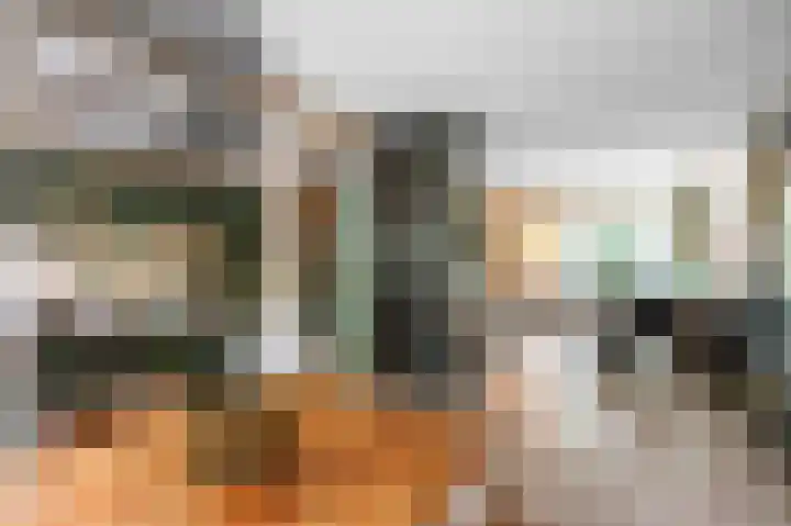 De Bongerd 7 Zuidhorn thumbnail 17