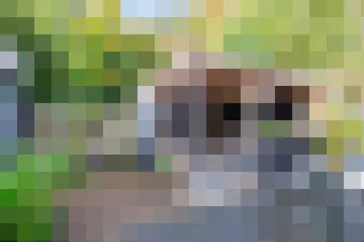 De Bongerd 7 Zuidhorn thumbnail 32