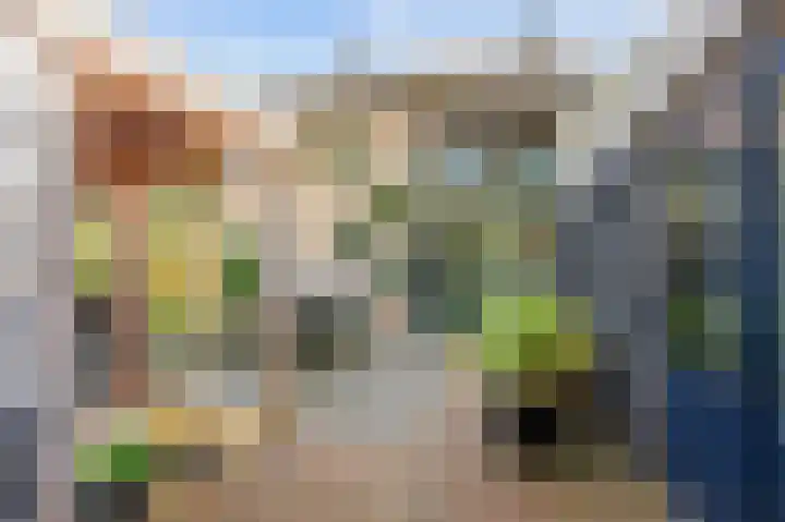 De Bongerd 7 Zuidhorn thumbnail 33