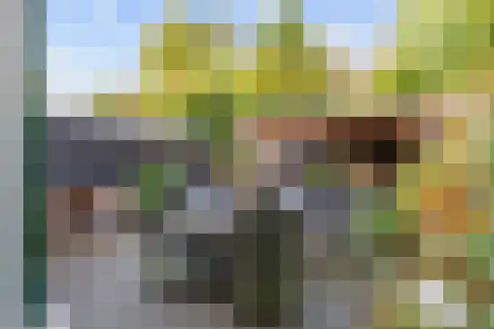 De Bongerd 7 Zuidhorn thumbnail 35