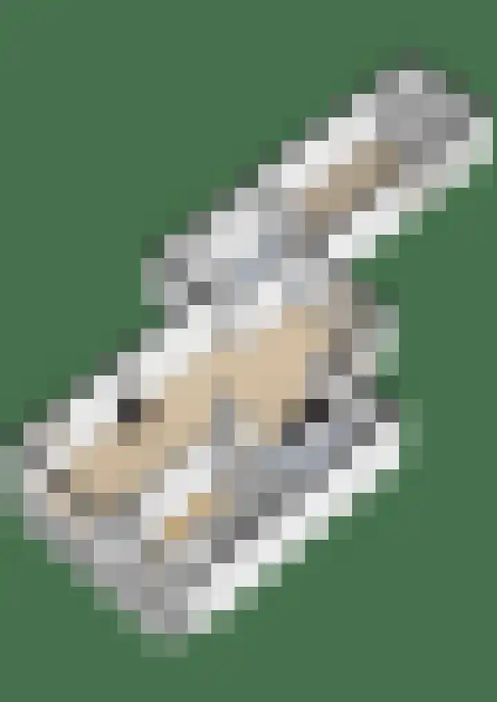 De Bongerd 7 Zuidhorn thumbnail 39