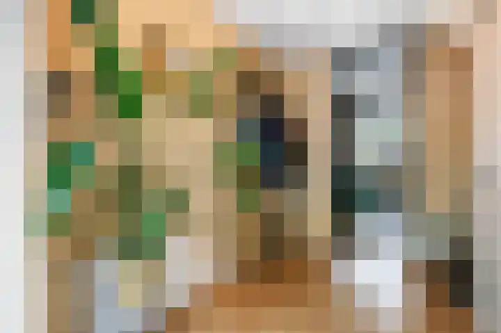 De Bongerd 7 Zuidhorn thumbnail 8