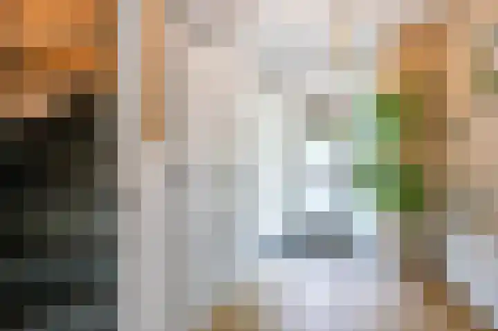 De Bongerd 7 Zuidhorn thumbnail 9