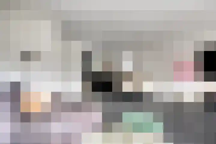 De Bongerd 92 Oss thumbnail 12