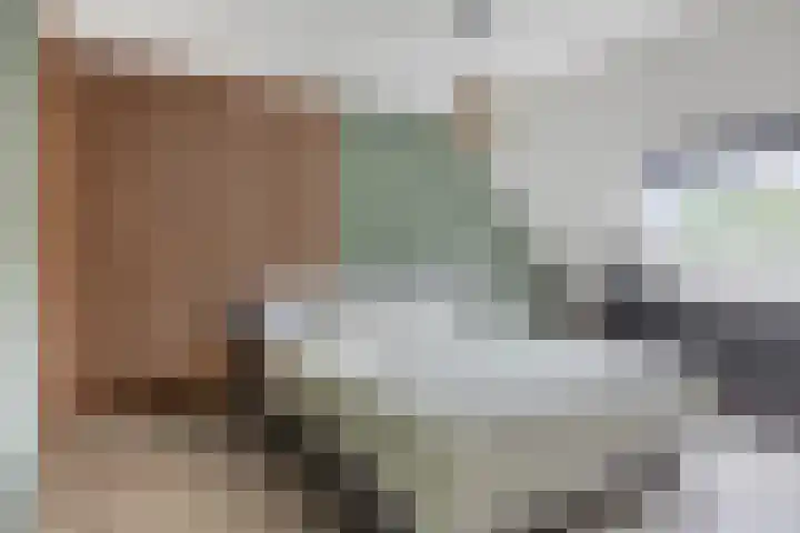 De Bongerd 92 Oss thumbnail 15