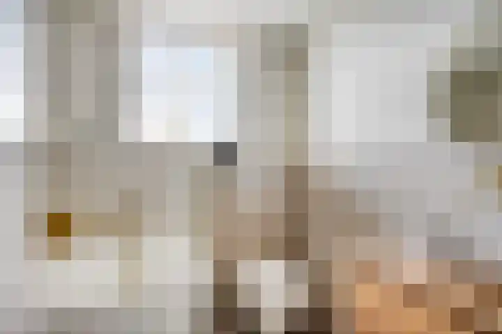 De Bongerd 92 Oss thumbnail 16