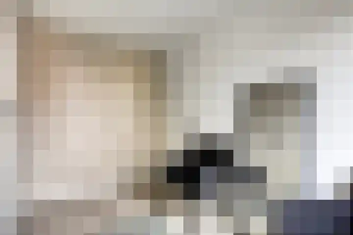 De Bongerd 92 Oss thumbnail 20
