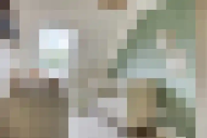 De Bongerd 92 Oss thumbnail 21