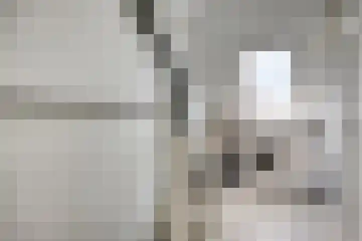De Bongerd 92 Oss thumbnail 23