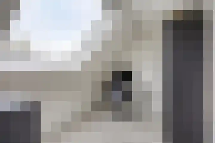 De Bongerd 92 Oss thumbnail 24