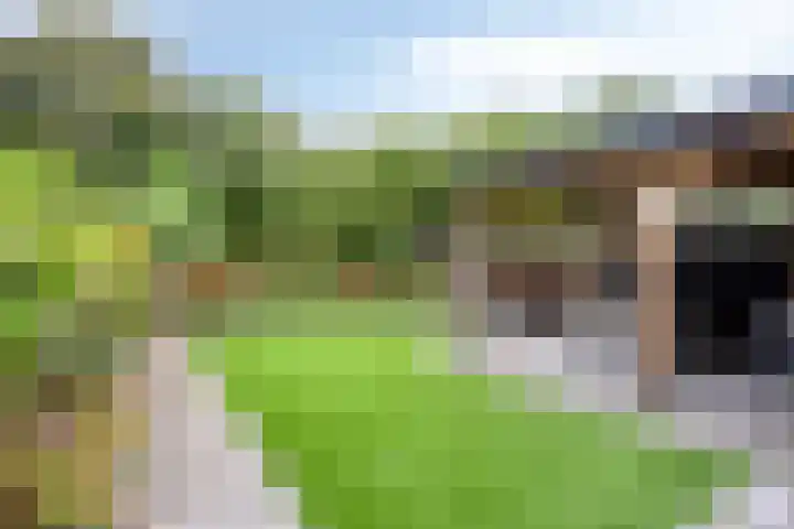De Bongerd 92 Oss thumbnail 26