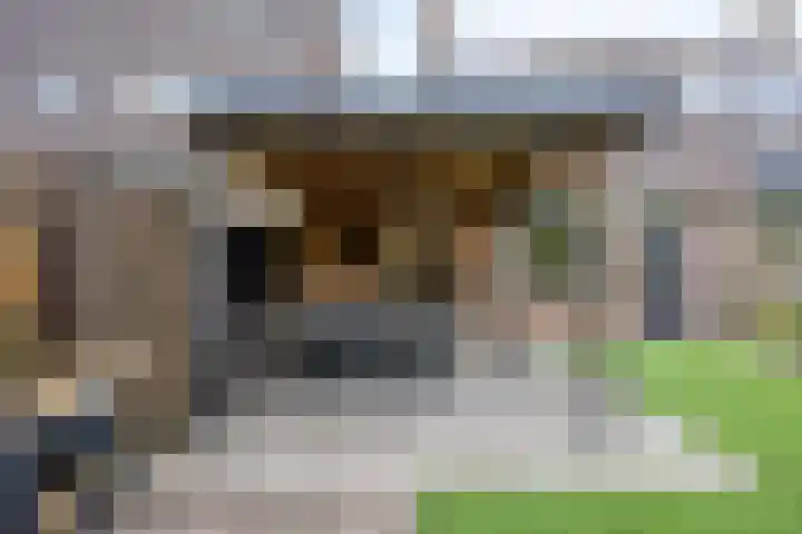 De Bongerd 92 Oss thumbnail 27