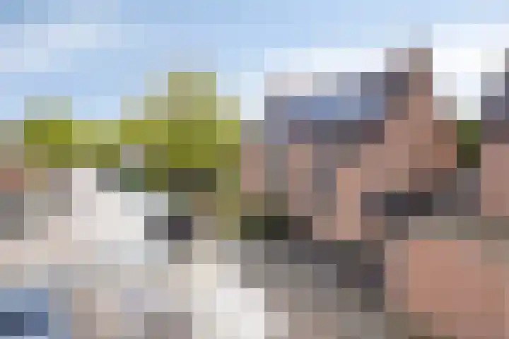 De Bongerd 92 Oss thumbnail 29