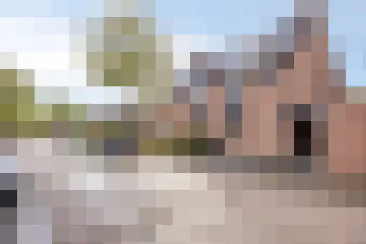 De Bongerd 92 Oss thumbnail 30