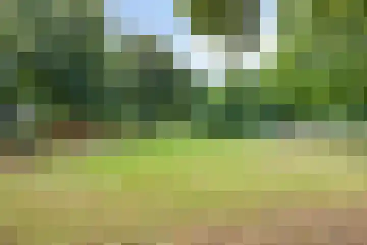 De Bongerd 92 Oss thumbnail 32