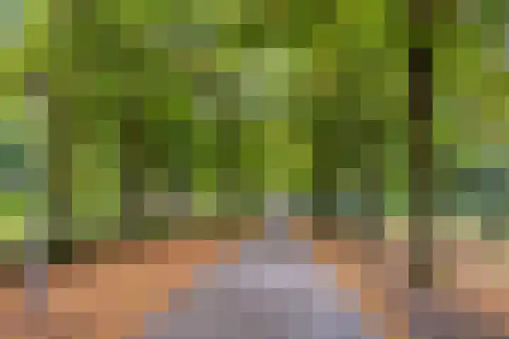 De Bongerd 92 Oss thumbnail 33