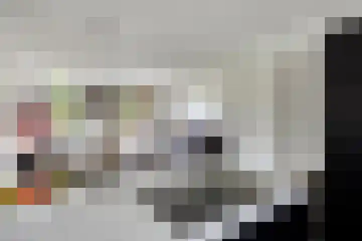 De Bongerd 92 Oss thumbnail 7