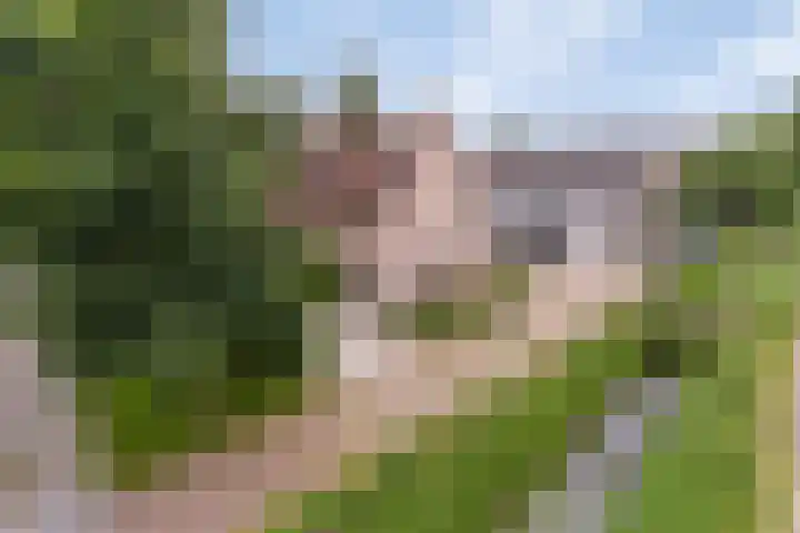 De Bonkelaar 81 Gendt thumbnail 10