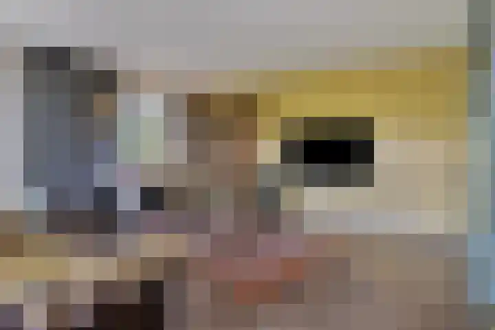 De Bonkelaar 81 Gendt thumbnail 14