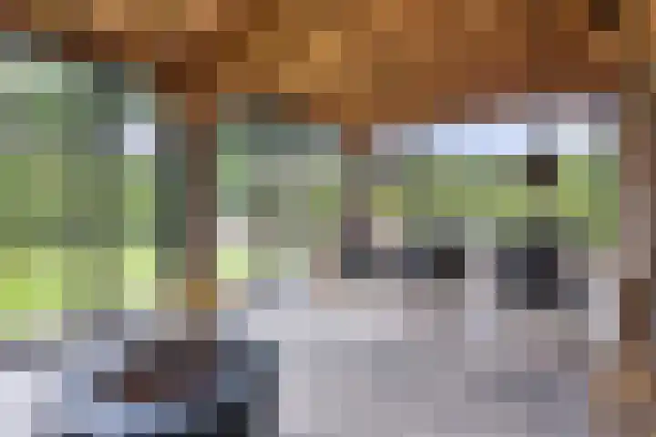 De Bonkelaar 81 Gendt thumbnail 24