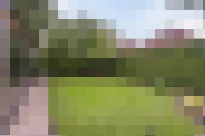 De Bonkelaar 81 Gendt thumbnail 28