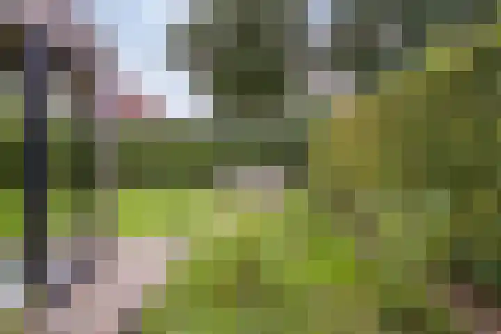 De Bonkelaar 81 Gendt thumbnail 29