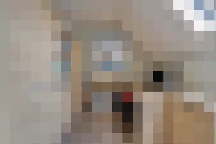 De Bonkelaar 81 Gendt thumbnail 37
