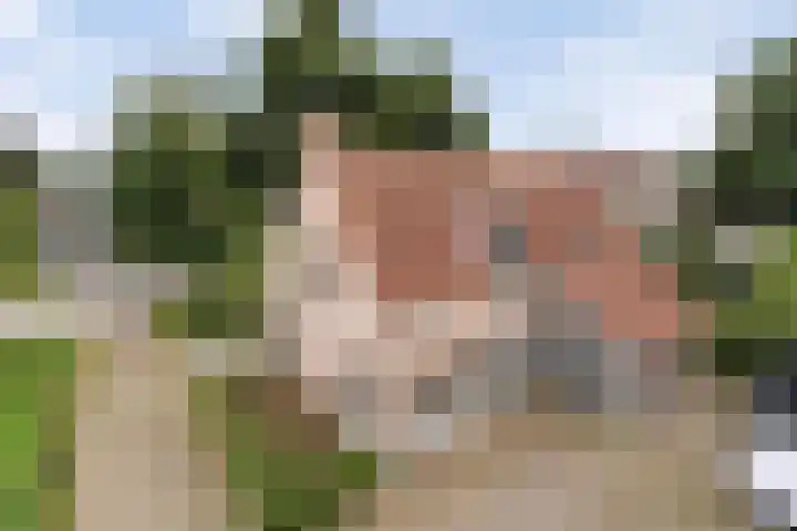 De Bonkelaar 81 Gendt thumbnail 8