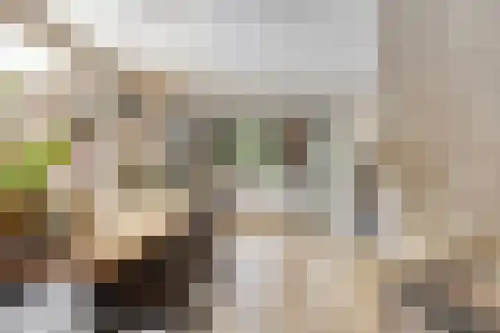 De Boog 2 Schagen thumbnail 12