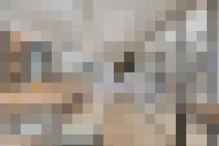 De Boog 2 Schagen thumbnail 18