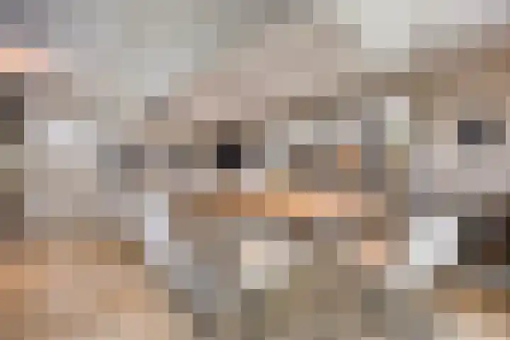 De Boog 2 Schagen thumbnail 19
