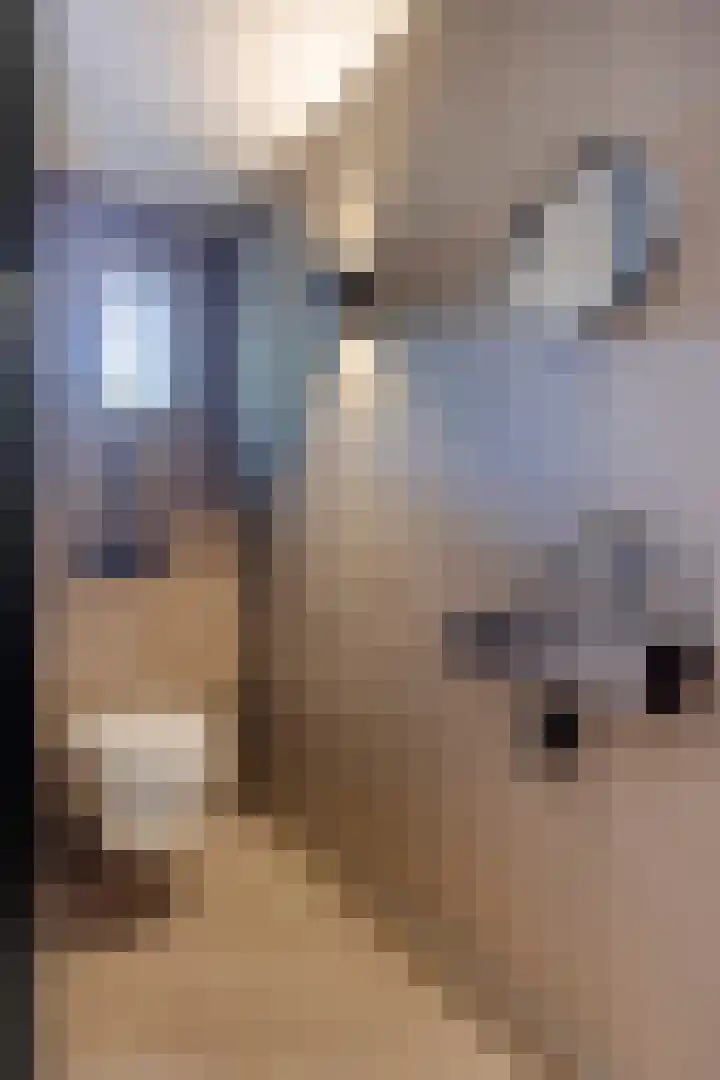 De Boog 2 Schagen thumbnail 31