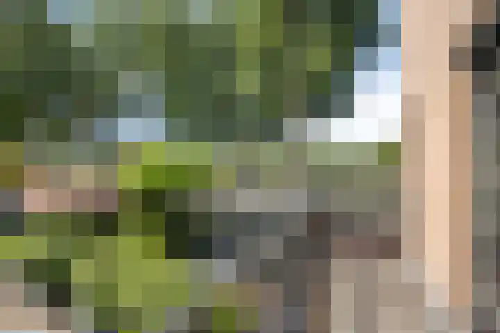 De Boog 2 Schagen thumbnail 38