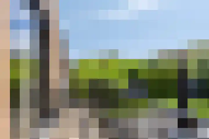 De Boog 2 Schagen thumbnail 39
