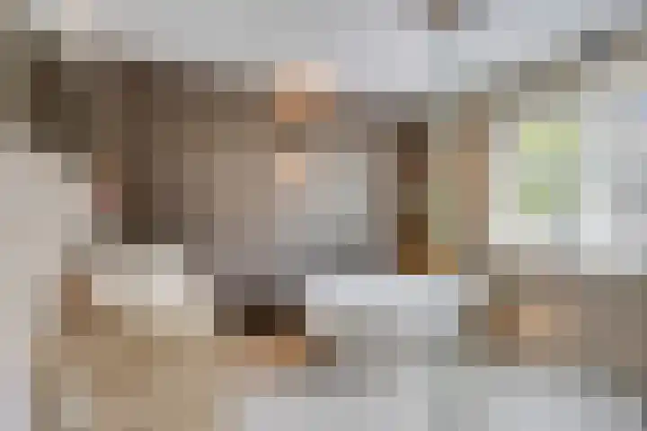 De Boog 2 Schagen thumbnail 40