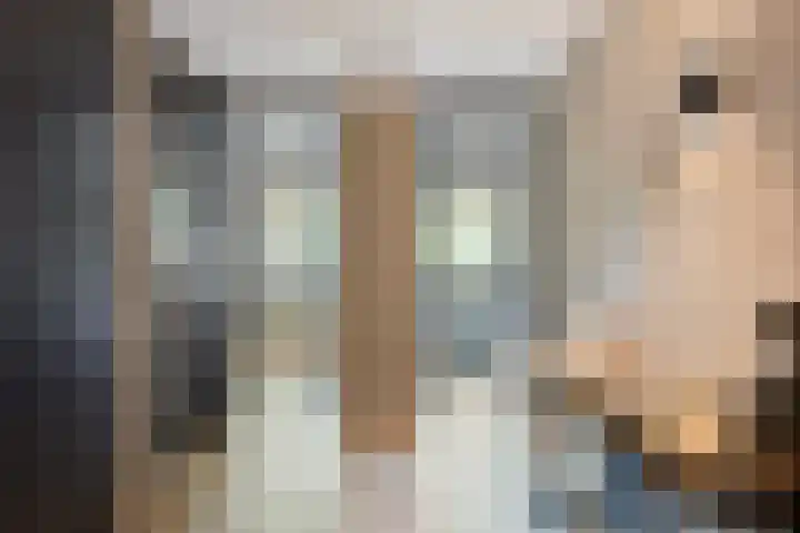 De Boog 2 Schagen thumbnail 43