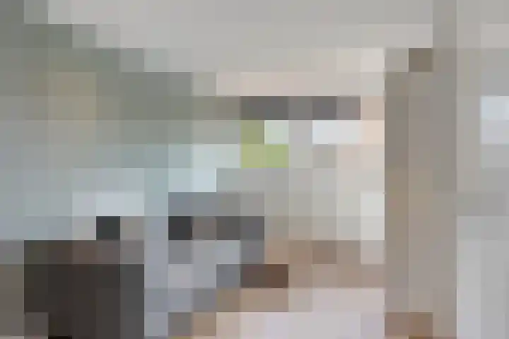 De Boog 2 Schagen thumbnail 49
