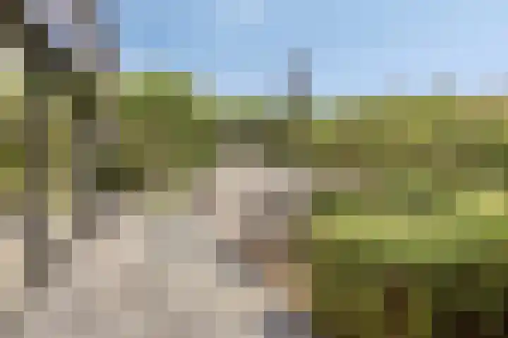 De Boog 2 Schagen thumbnail 64