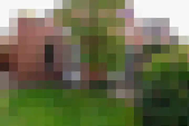 De Boog 36 Heiloo thumbnail 37