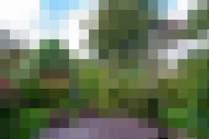 De Boog 36 Heiloo thumbnail 40