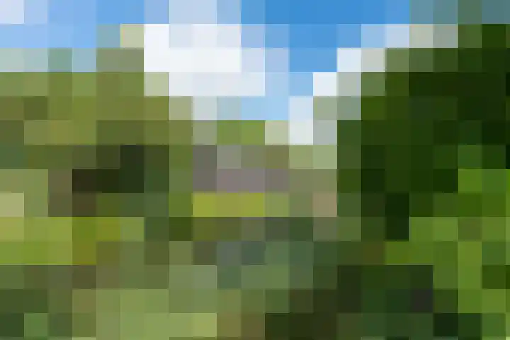 De Boog 36 Heiloo thumbnail 45