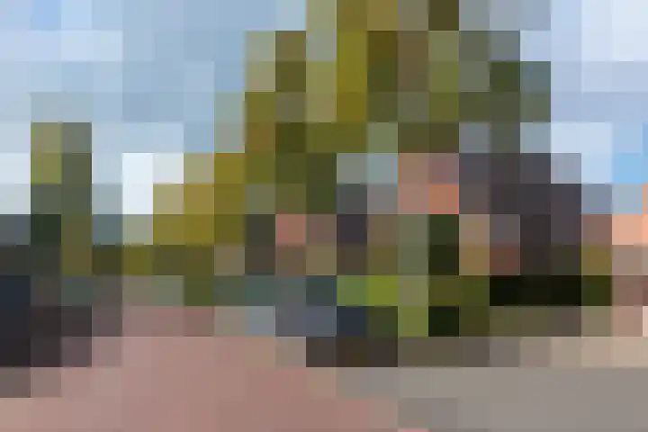 De Boog 36 Heiloo thumbnail 52