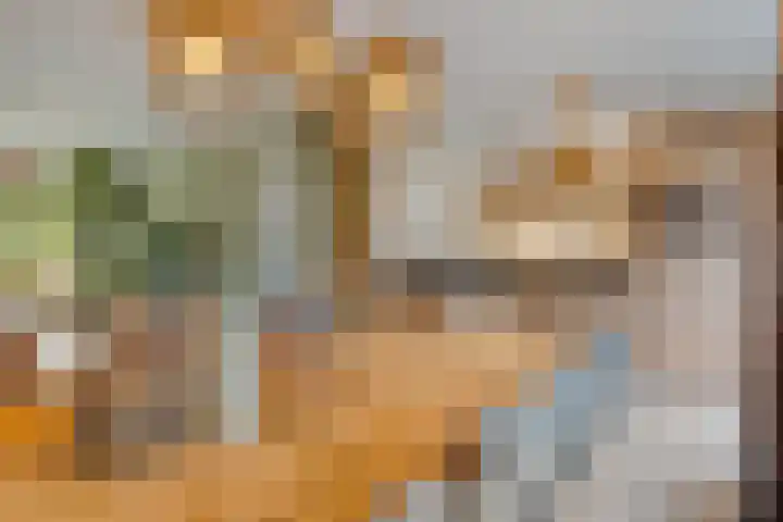 De Boogerd 12 Zuilichem thumbnail 11