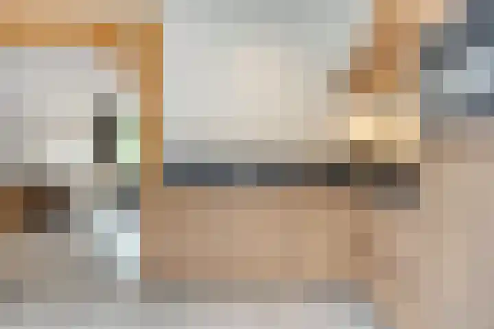 De Boogerd 12 Zuilichem thumbnail 16