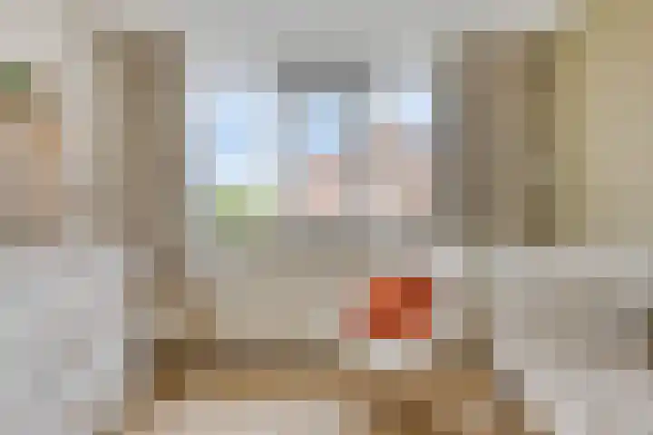 De Boogerd 12 Zuilichem thumbnail 23