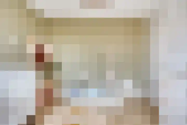 De Boogerd 12 Zuilichem thumbnail 24